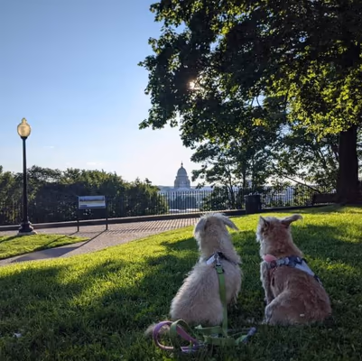 Providence Pet Park photo 2
